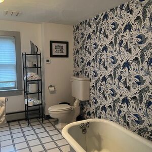 Two rolls of Emma J. Shipley Blue Audubon Wallpaper